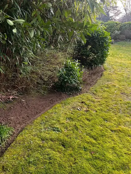 Bordure courbe fraîchement retracée entre une pelouse et un massif