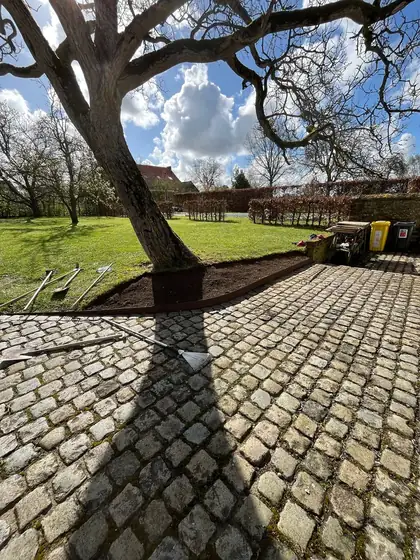 Pied d'arbre nettoyé au bord d'une cour en pavés