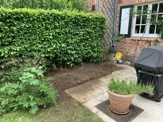 Haie taillée et parterre dégagé à côté d'une terrasse en pierre