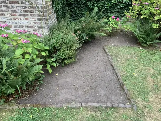 Parterre désherbé, terre nue, entouré de fougères et d'hortensias