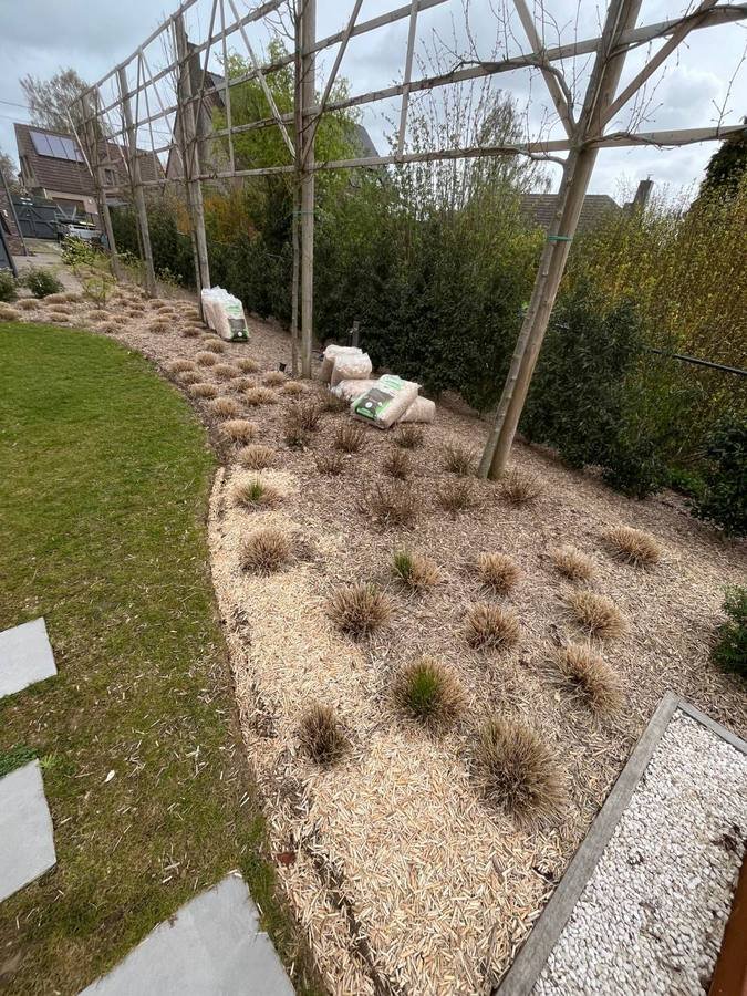 Longue bordure paillée avec plantation de graminées